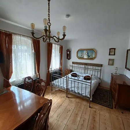 Zlata Leta - Apartmanovy Dum Jachymov Exterior photo