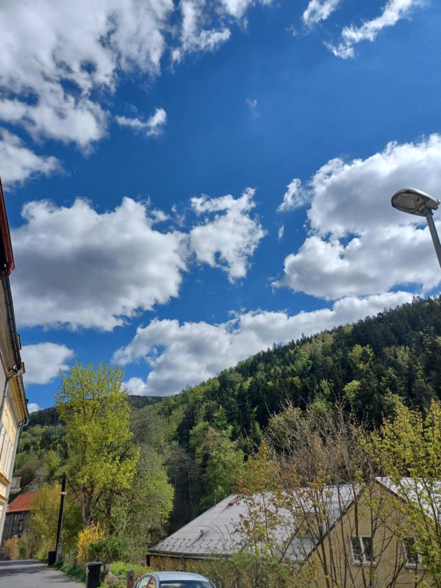 Zlata Leta - Apartmanovy Dum Apartment *